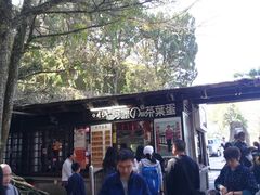 门面-金盆阿嬷香菇茶叶蛋(玄光店)