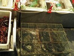 -老梅园大虾城(河西店)