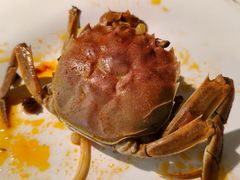 -芝小官毛肚火锅海鲜自助(无锡新吴区宝龙店)