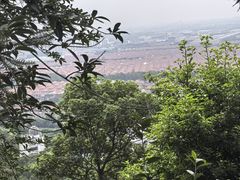 -华西村