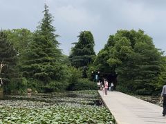 -白马涧龙池景区