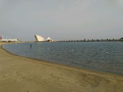 -碧海金沙