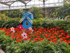 -南宫五洲植物乐园