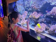-暹罗海洋世界