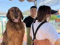 -趣玩宠物乐园寄养训犬训狗游泳池