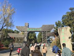 -溱湖国家湿地公园