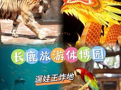 -长鹿旅游休博园