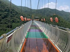 -伏羲山旅游区