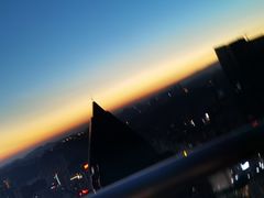 -索菲特酒店 · 云尚天际自助餐厅