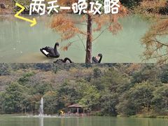 -广州白江湖森林公园