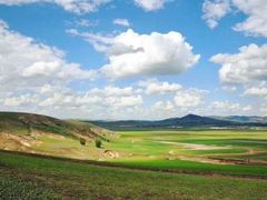 -张北坝上草原