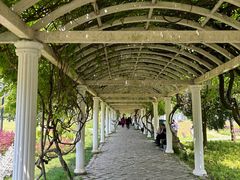 -苏州上方山国家森林公园