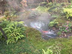 -Chom Cafe and Restaurant