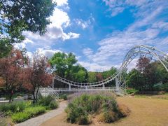 -上海共青森林公园