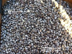 -蒲河大集