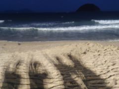 -西涌国际滨海旅游区