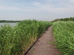 -西青郊野公园