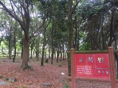 -汉拿树木园
