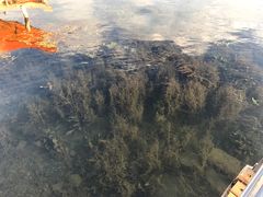 -泸沽肴(泸沽湖大洛水村农村信用社旁店)