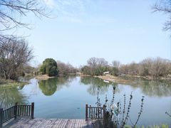 -西溪国家湿地公园