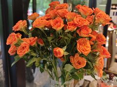 -院里寻菜·精致庭院菜(观沙岭店)