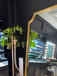 -鼎极摄影(世纪金源店)
