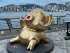 -星光大道