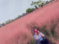 -江南第一家