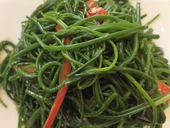 -苗氏卷子鸡(张掖金鸿大厦店)