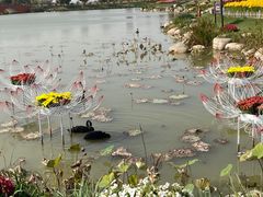 -荷兰花海