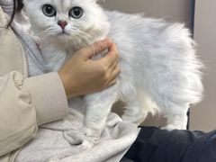 -瑞派伍一宠物医院·眼科·骨科·猫科转诊中心(马王堆院)