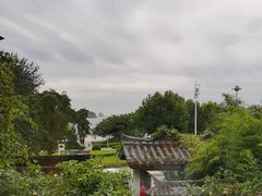 -慢丽江·云南野生菌土鸡锅(付家庄店)