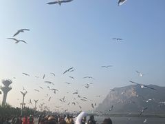 -滇池海埂公园