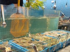 -曼格活海鲜·牛排自助(光明蓝鲸店)