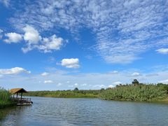 -宁波杭州湾国家湿地公园