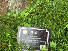 -普陀山风景名胜区-法雨禅寺