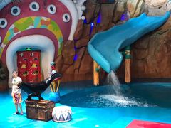 -烟台海昌鲸鲨海洋公园