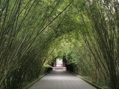 -四川大学(望江校区)
