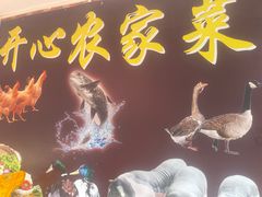 -开心农家菜