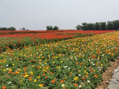 -江苏三台山国家森林公园