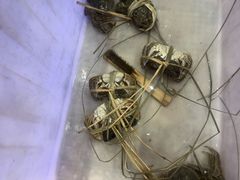 -蟹状元大闸蟹·年货·粽子(成都成华店)