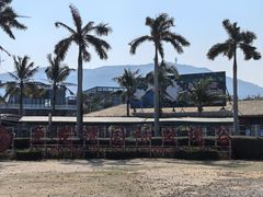 -亚龙湾国际玫瑰谷