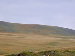 -山丹皇家马场