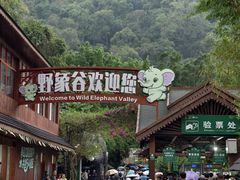 -野象谷景区