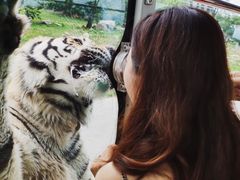 -西安秦岭野生动物园