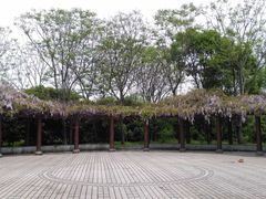 -南汇桃花村
