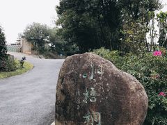 -梧桐山风景名胜区