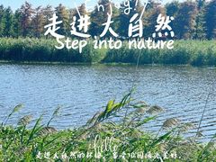 -春花秋色城市公园