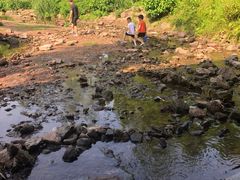 -重庆彩云湖湿地公园