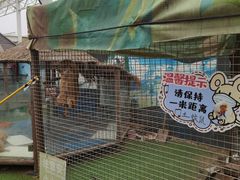 -南宫五洲植物乐园